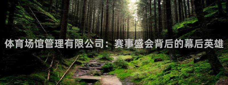 必一体育是哪里的台子