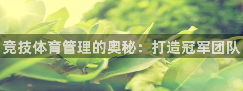 必一体育在线登录