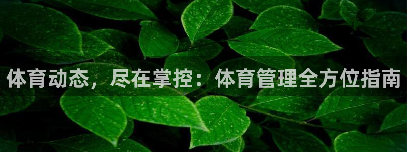 必一运动B-Sport官方网站入口