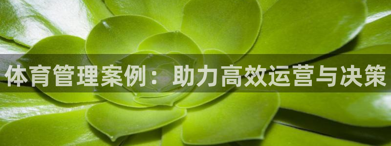 必一运动官网登录入口