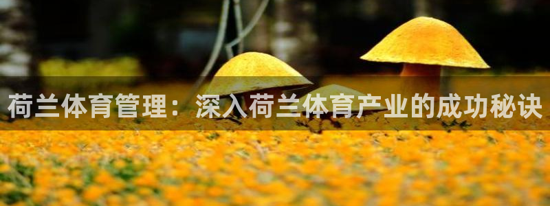 必一运动官网平台：荷