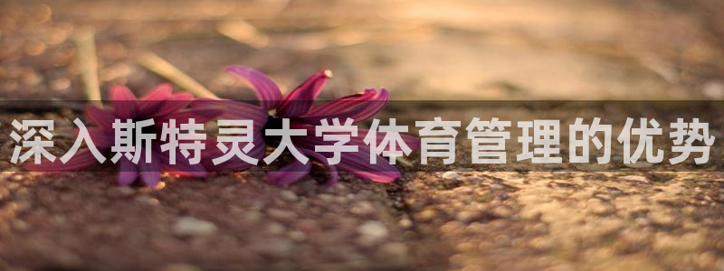 必一体育是哪里的台子
