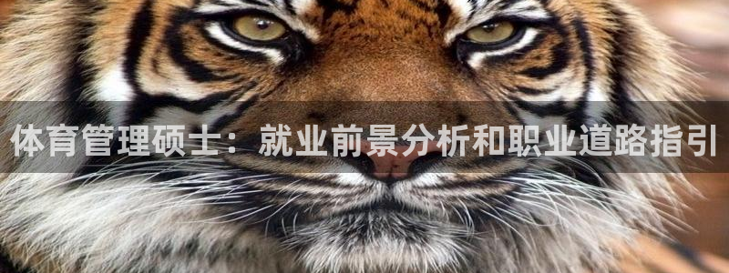 必一体育网站
