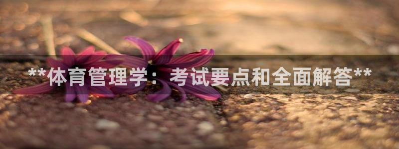 必一体育官网网址：*