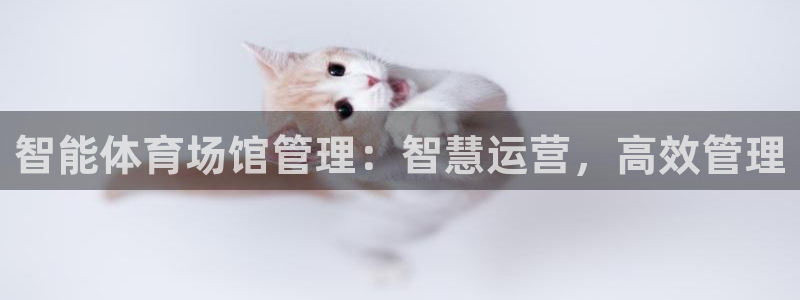 必一运动官网平台：智