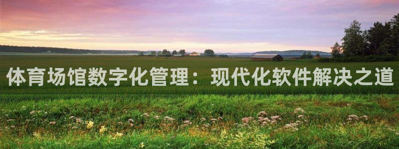 必一运动 b 体育素描版
