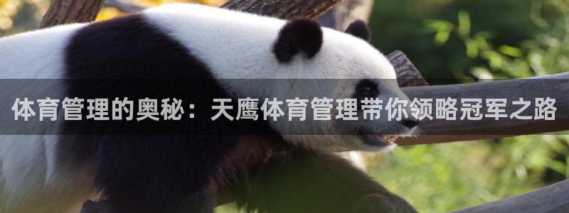 必一体育app下载最新版本苹果
