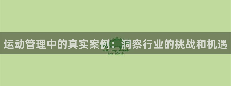 必一体育是啥：运动管