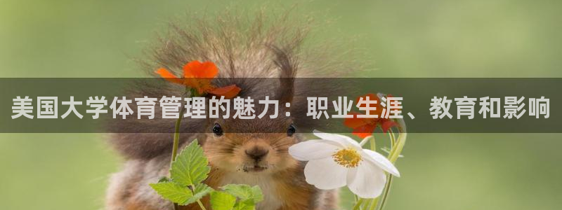 必一体育运动平台官网