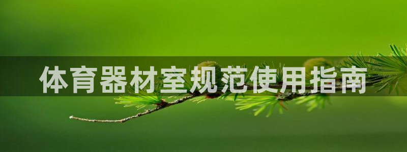 必一体育app下载最新版本