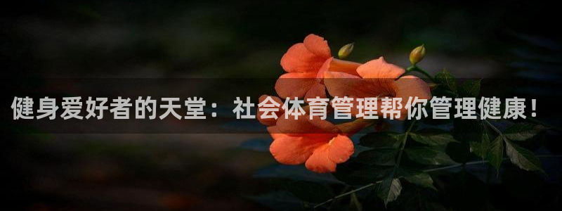 必一体育下载一样吗