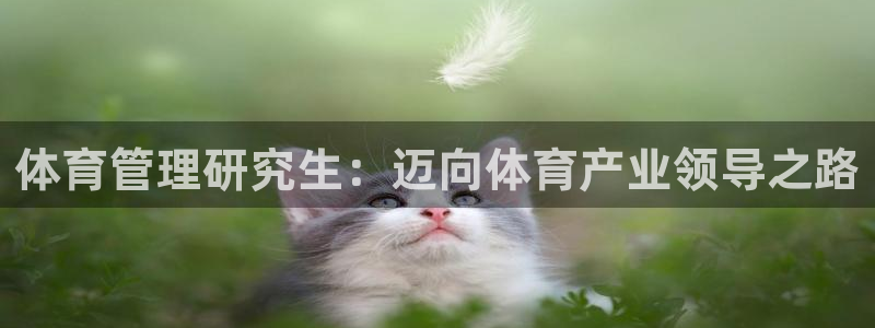 必一运动体育官网