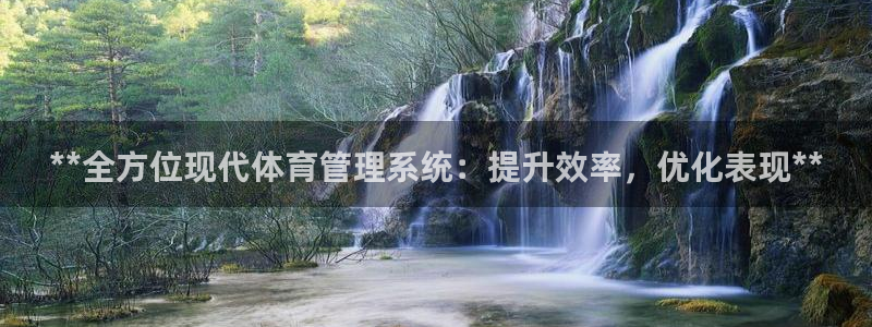 必一体育登录APP下