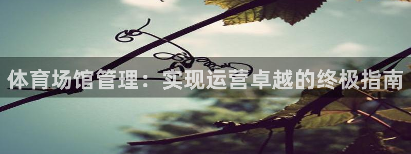 必一体育登入：体育场