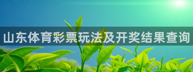 必一体育bsport