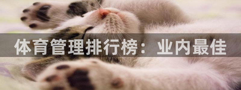 必一体育APP下载安装