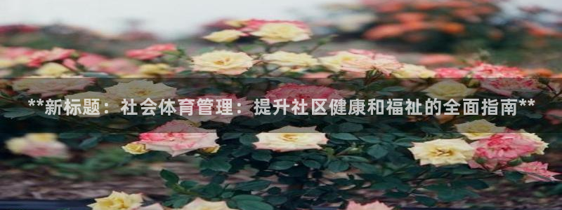 必一体育全站在线登录
