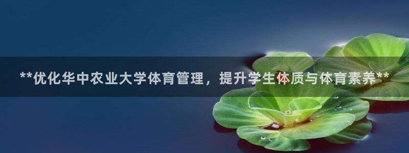 必一体育验证码：**