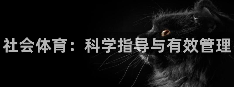 必一体育app下载最