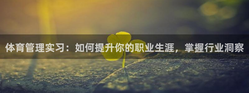 必一体育app官方：