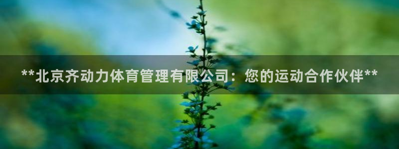 必一体育验证码：**