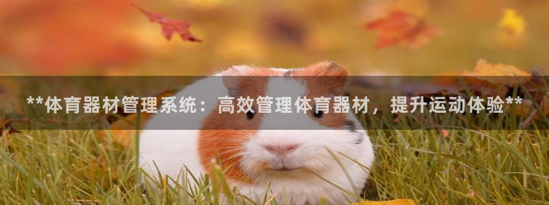 必一体育在线官网：*