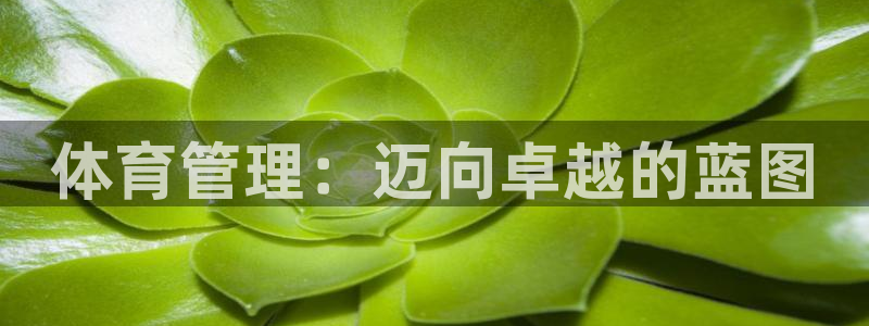 必一体育app下载最新版本