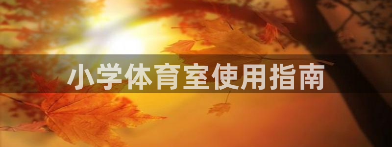 必一体育网址：小学体