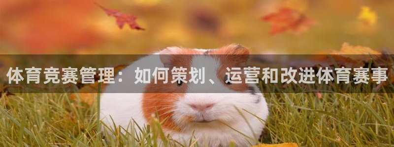 必一体育sportB体育