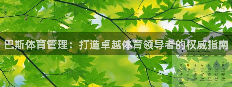 必一体育是啥