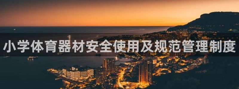 必一体育登录入口AP