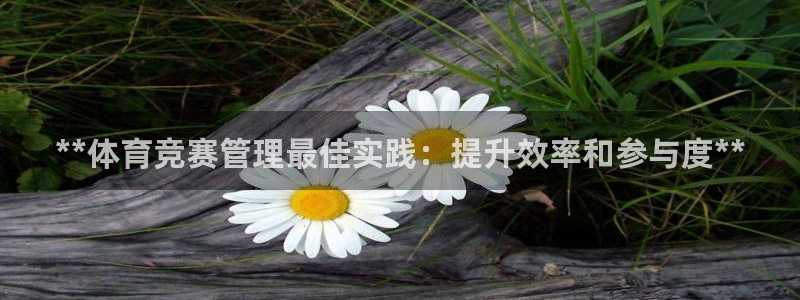 必一体育app官方下