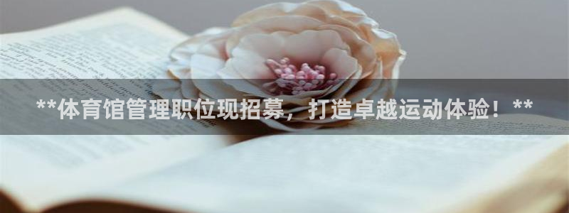 必一体育APP
