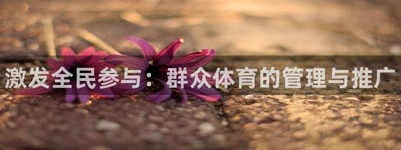 必一体育流水线是什么意思