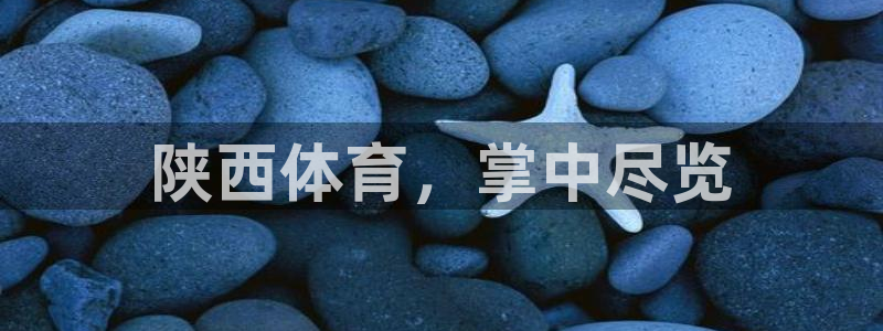 必一体育在哪下