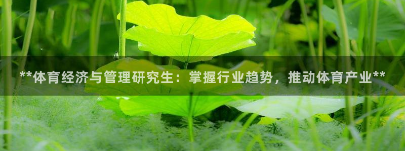 必一体育在线登陆：*