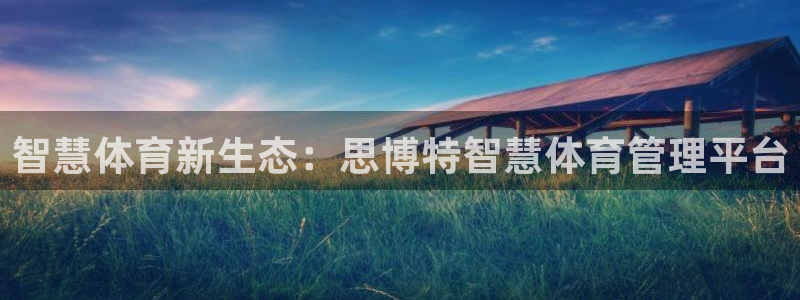 必一体育官网ios下