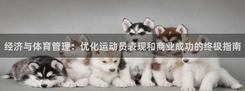 必一体育官网app：