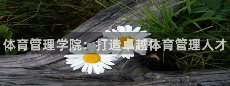 必一体育秀给网：体育