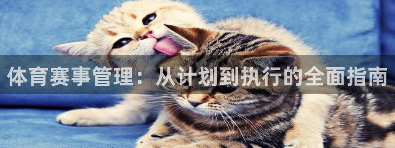 必一体育sport下