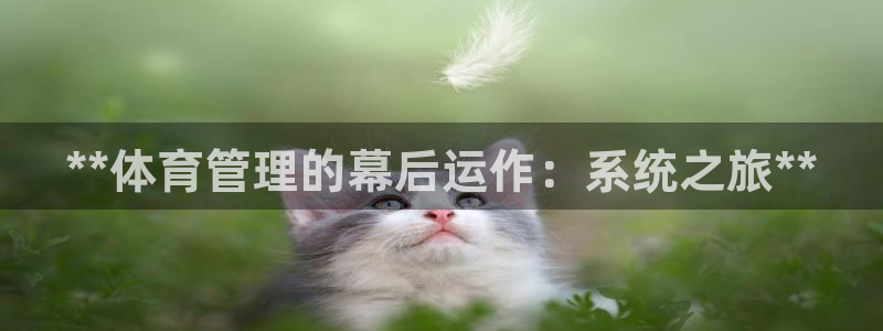 必一体育app下载装