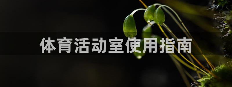 必一体育下载app