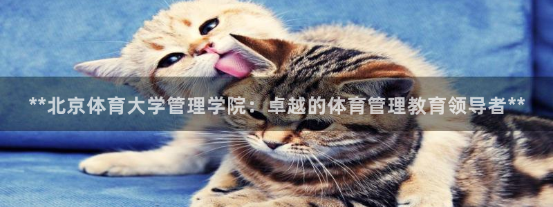 必一体育app官方：