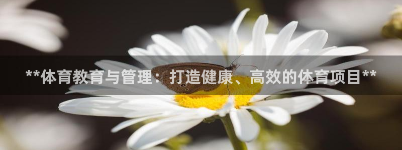 必一体育官网网址