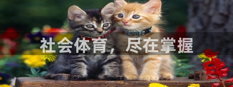 必一体育全站在线登录入口