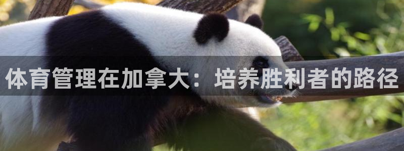 必一运动aop