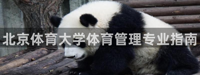 必一运动体育官网下载