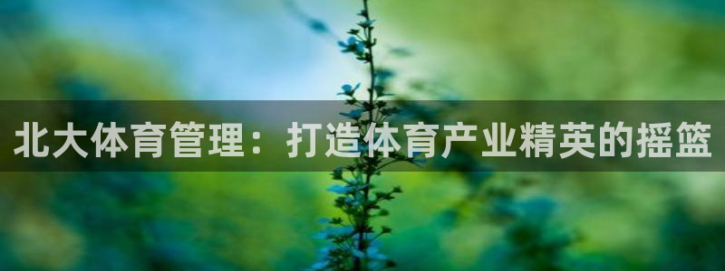 必一体育登录入口AP