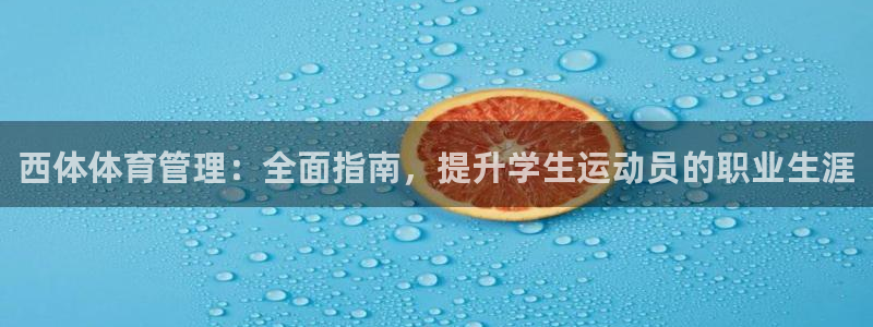 必一体育验证码：西体