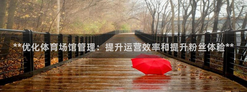 必一体育bsport
